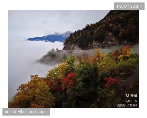 梦想遭遇六连客征程，舟车劳顿影响球员状态